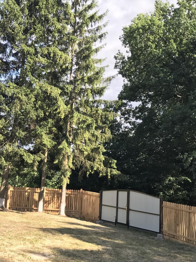 Holiday Home Rayskiy Ugolochek Kvitki エクステリア 写真